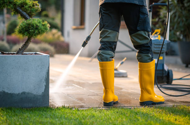 Best Exterior Home Cleaning  in East Lexington, VA